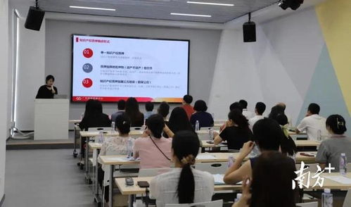 政策宣讲助力业务对接 汕头高新区深化知识产权培训赋能企业发展